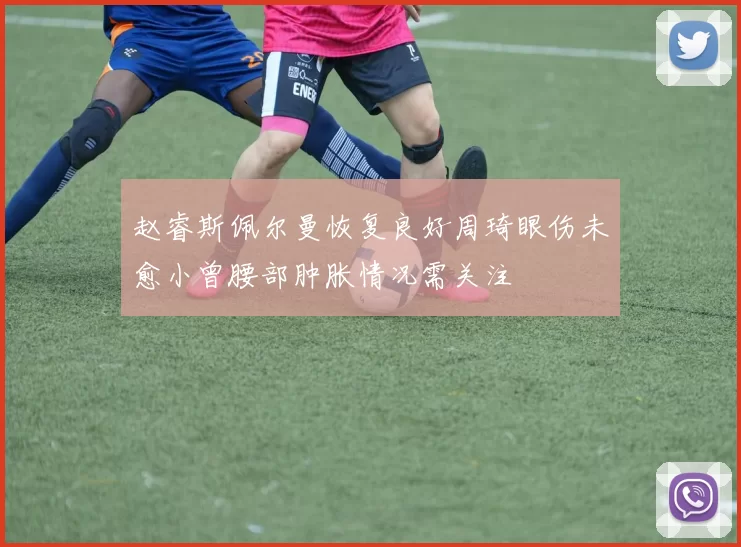 赵睿斯佩尔曼恢复良好周琦眼伤未愈小曾腰部肿胀情况需关注