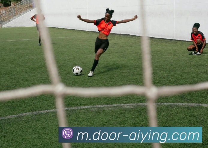 爱赢体育发展历程